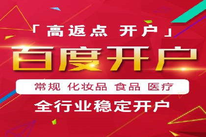百度SEO推广策略案例：一家公司的成功转型之路